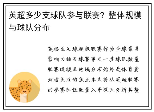 英超多少支球队参与联赛？整体规模与球队分布
